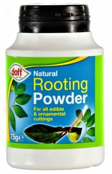 Doff 75g Hormone Rooting Powder  7218 (1490202)