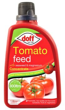 Doff 1L Tomato Food Concentrate      1490291
