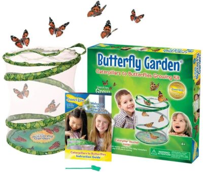Insect Lore 30cm Pop Up Butterfly Garden 3290132