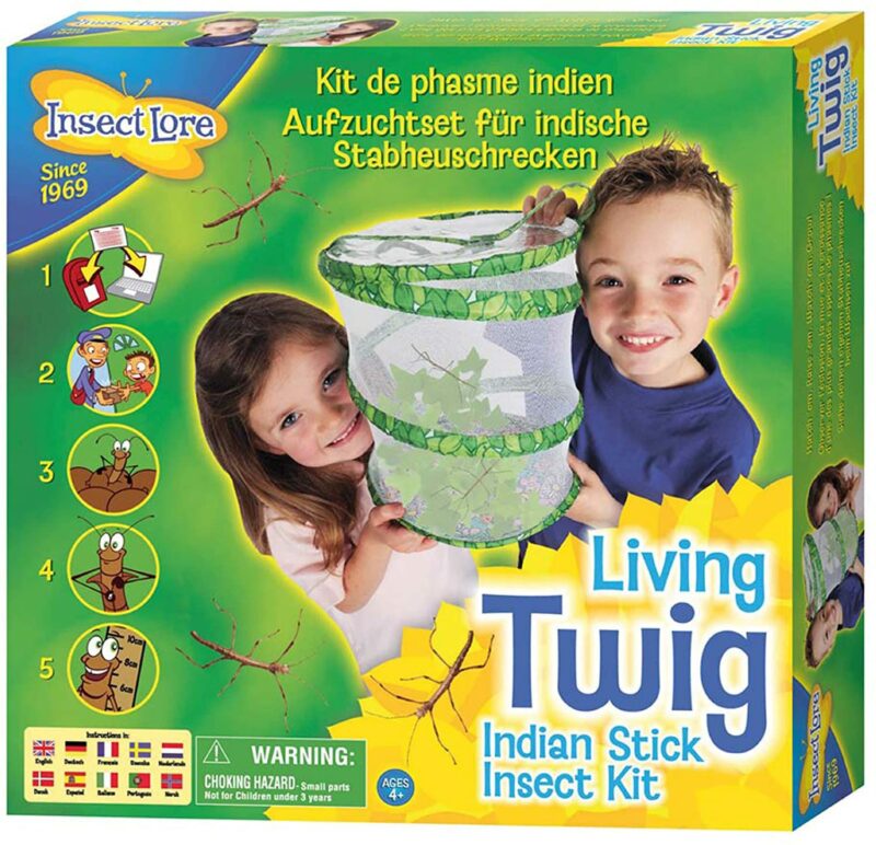 Insect Lore Living Twig Stick Insect Kit  3290148
