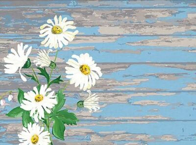 HomeLiving Daisy Placemats - 6 Pack HH2491 (2652491)