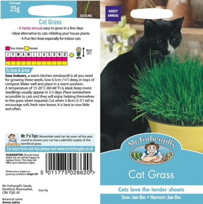 Mr Fothergill's Cat Grass Avena Sativa 10183