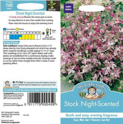 Mr Fothergill's Stock Night Scented 10642