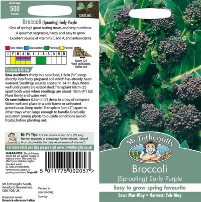 Mr Fothergill's Broccoli (Sprouting) Early Purple 10940