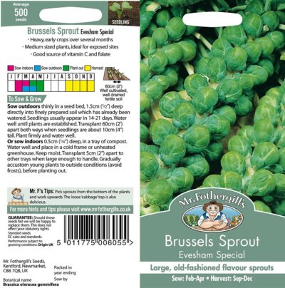 Mr Fothergill's Brussels Sprout Evesham Special 15511