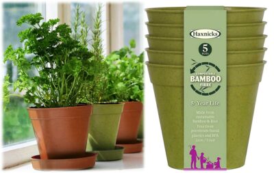 Haxnicks 5" x 5 Bamboo Pot - Sage POT110101 (2720482)