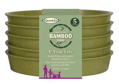 Haxnicks 6" x 5 Bamboo Saucers - Sage POT140101 (2720498)