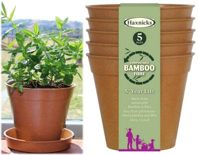 Haxnicks 6" x 5 Bamboo Pot - Terracotta POT130201 (2720519)