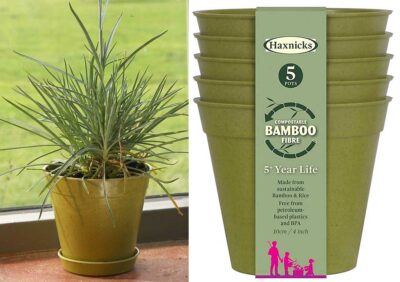 Haxnicks 4" x 5 Bamboo Pot - Sage POT180101 (2720566)