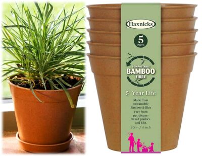 Haxnicks 4" x 5 Bamboo Pot - Terracotta POT180201 (2720571)
