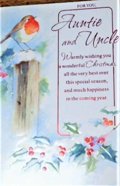 Auntie & Uncle Christmas Card - Robin on Post or Teddies 280XSE17447