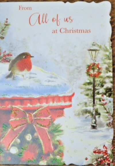 From All Of Us Christmas Card - Robin X4052-11