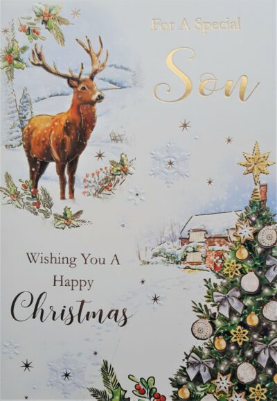 Son Christmas Card - Reindeer XGL5020A/10