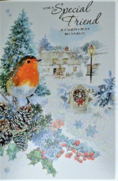 Special Friend Christmas Card - Robin XSE28376F