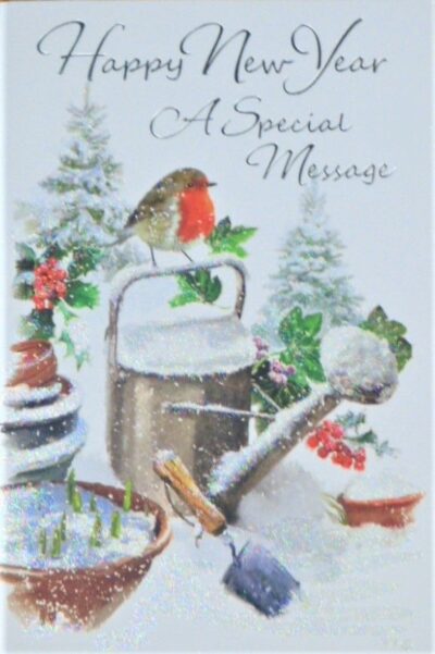 New Year Card - Robin Watering Can XSE28457NY