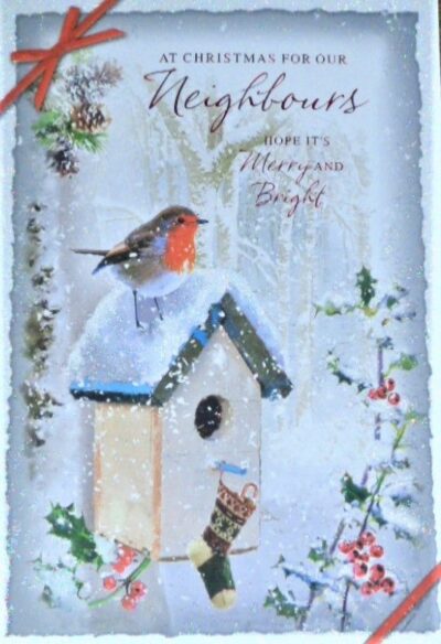 Neighbours Christmas Card - Robin XSE28479N