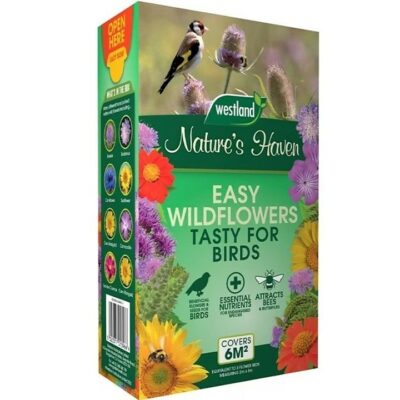 Westland Nature's Haven 1.2Kg Easy Wildflower Box -  Tasty For Birds Mix 4390156