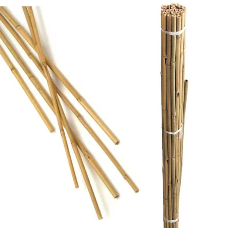 Gardman 10 x 6ft (1.8m) Bamboo Canes 2190192 (08082)