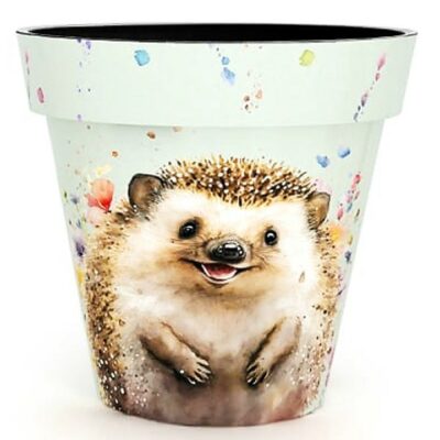 Creekwood 40cm Plant Pot - Watercolour Hedgehog    0891789