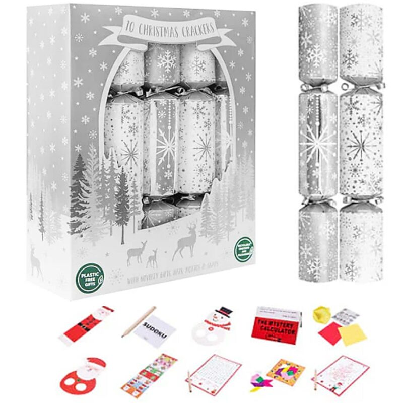 RSW 10 x 12" Family Crackers - Silver Snowflakes 5772182