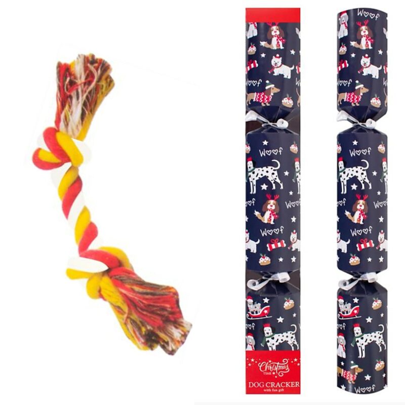 RSW 14" Pet Christmas Cracker - Dog 5772198