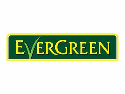 Ever Green