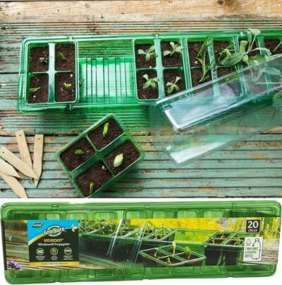 Westland Gro-Sure Visiroot Window Sill Propagator Set 7882807