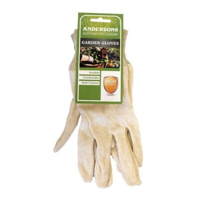 Andersons Budget Cotton Gloves - Medium GW093