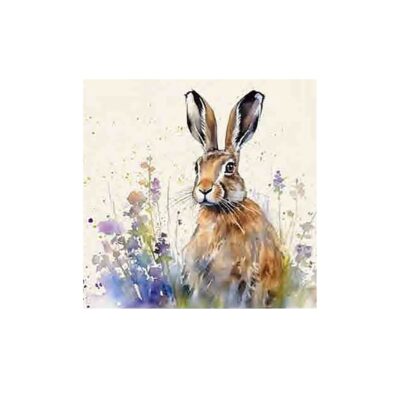 Home Living 6 Coasters - Meadow Hare 2654059