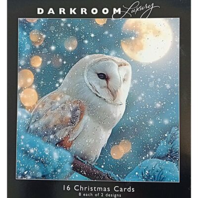 Dark Room Luxury 16 Christmas Cards - Icy Owls  PSLDR0014