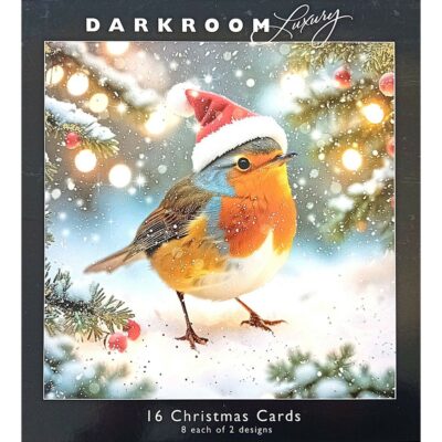 Dark Room Luxury 16 Christmas Cards - Robins in Santa Hats PSLDR0015