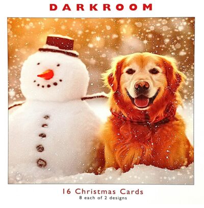Dark Room 16 Christmas Cards - Golden Retriever and Snowman PSODR0041