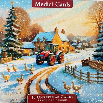 Medici 10 Christmas Cards - On The Farm with Geese WALM0004