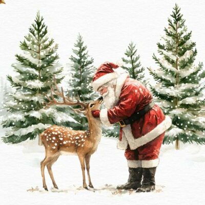 Napkins x 20 - Santa and Reindeer 0254217